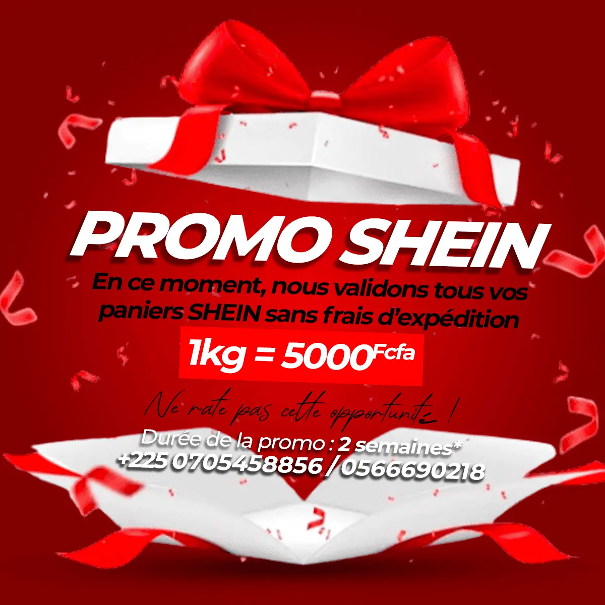 Affiche Promo Shein